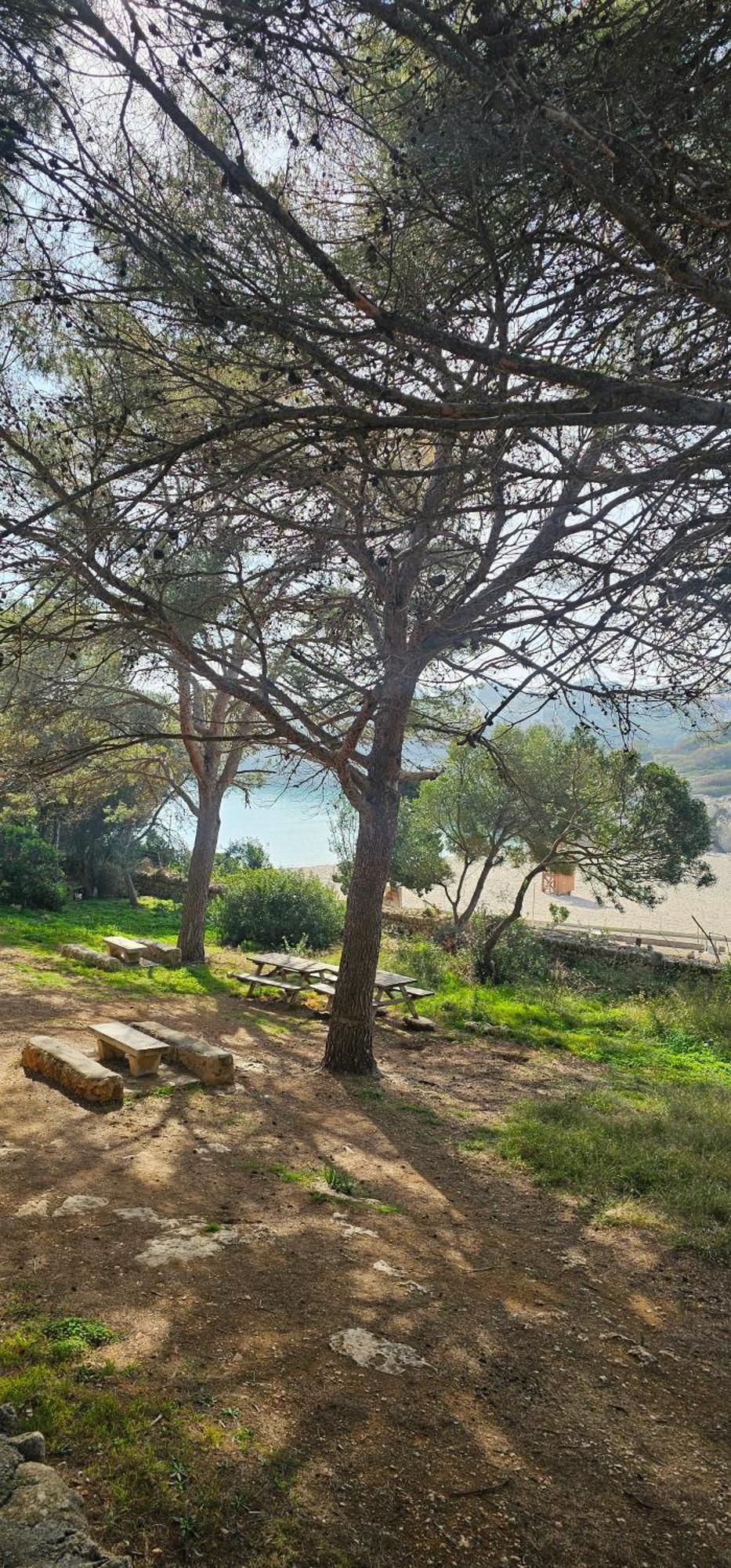 Casa Domingos Cales De Mallorca ภายนอก รูปภาพ